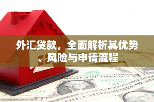 荣昌外汇贷款，全面解析其优势、风险与申请流程