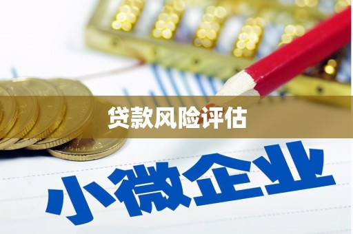 荣昌贷款风险评估
