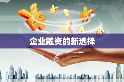 荣昌企业融资的新选择