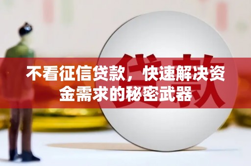 荣昌不看征信贷款，快速解决资金需求的秘密武器