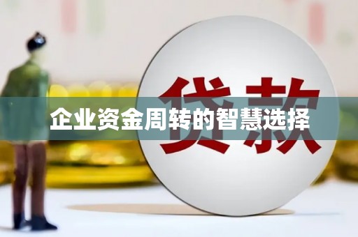 荣昌企业资金周转的智慧选择