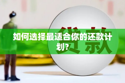 荣昌如何选择最适合你的还款计划？