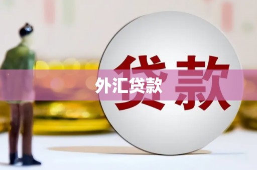 荣昌外汇贷款