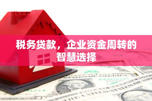荣昌税务贷款，企业资金周转的智慧选择