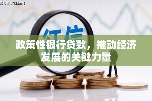 荣昌政策性银行贷款，推动经济发展的关键力量