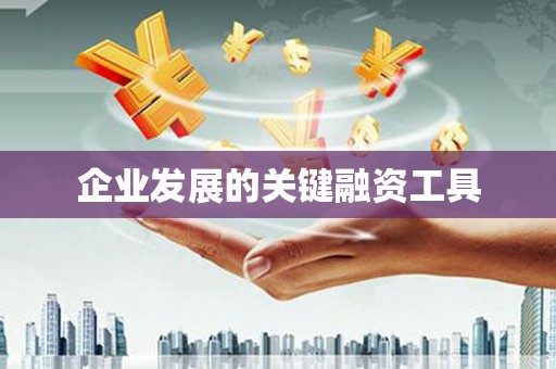 荣昌企业发展的关键融资工具