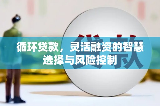 荣昌循环贷款，灵活融资的智慧选择与风险控制