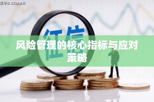 荣昌风险管理的核心指标与应对策略