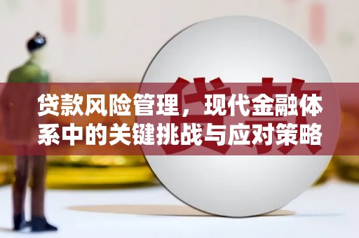 荣昌贷款风险管理，现代金融体系中的关键挑战与应对策略