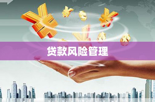 荣昌贷款风险管理