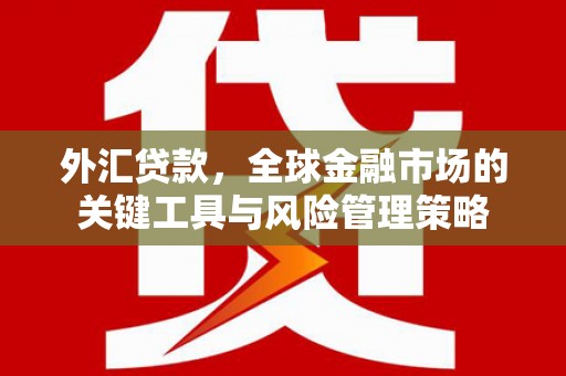 荣昌外汇贷款，全球金融市场的关键工具与风险管理策略