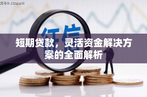 荣昌短期贷款，灵活资金解决方案的全面解析