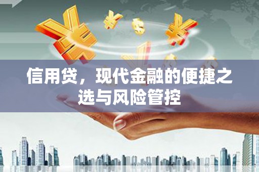 荣昌信用贷，现代金融的便捷之选与风险管控