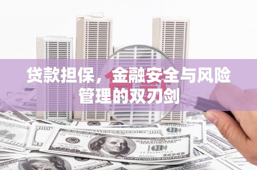 荣昌贷款担保，金融安全与风险管理的双刃剑