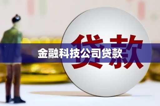 荣昌金融科技公司贷款