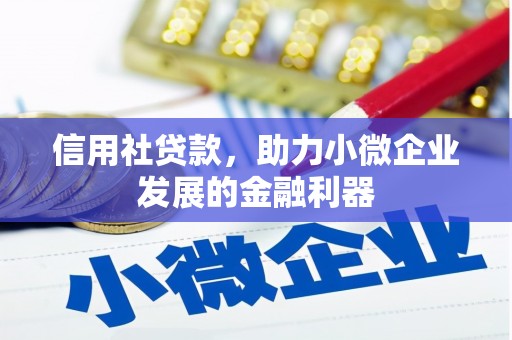 荣昌信用社贷款，助力小微企业发展的金融利器