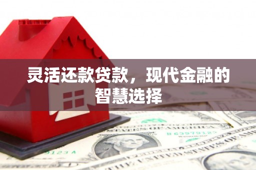 荣昌灵活还款贷款，现代金融的智慧选择