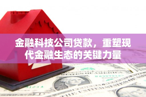 荣昌金融科技公司贷款，重塑现代金融生态的关键力量