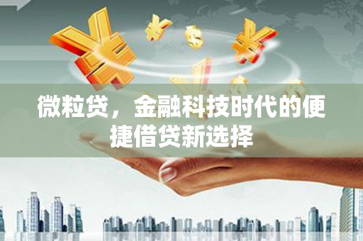 荣昌微粒贷，金融科技时代的便捷借贷新选择