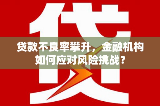 荣昌贷款不良率攀升，金融机构如何应对风险挑战？
