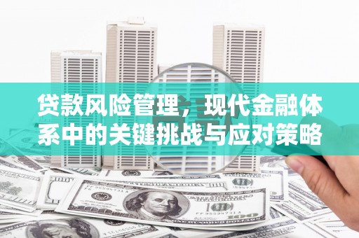 荣昌贷款风险管理，现代金融体系中的关键挑战与应对策略