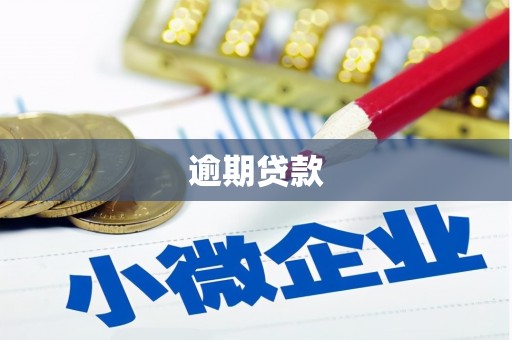 荣昌逾期贷款